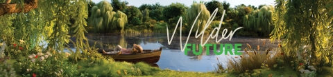 Wind in the Willows - The Wildlife Trust