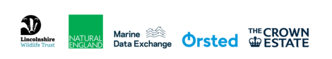 Partnership logos for marine interns