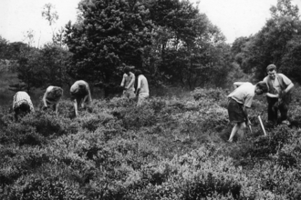 Volunteers from the National Conservation Corps at Linwood Warren in 1960