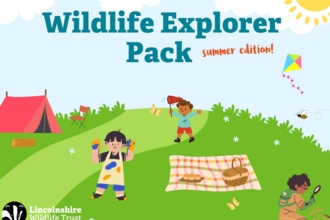 Wildlife Explorer Pack Summer 