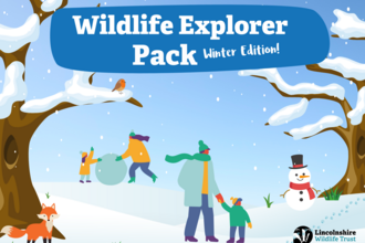 Winter Wildlife Activity Pack Cover 
