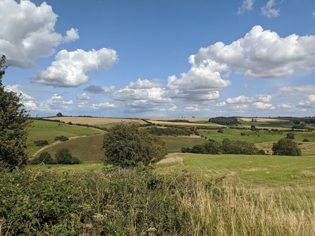 View of the Wolds from near Claxby top 