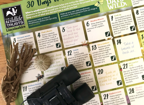 30 Days Wild Wellbeing