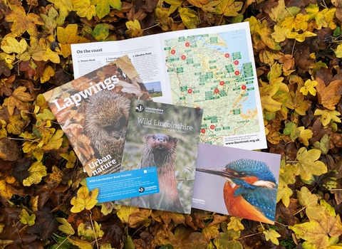 A layout of our membership pack, including A4 map of nature reserves, Lapwings magazine and a copy of our new members book, Wild Lincolnshire, with an otter on the cover looking to camera