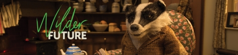 Wind in the Willows - The Wildlife Trust