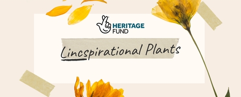 Lincspirational plants header