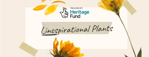 Lincspirational plants header