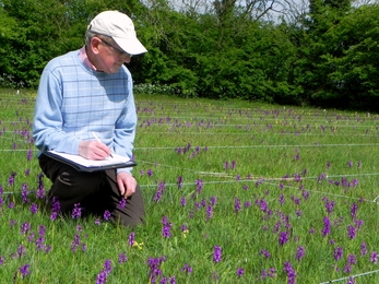 Barrie Wilkinson surveying orchids