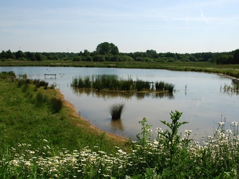 View of a lake at Potteric Carr (c) Kelvin Percival