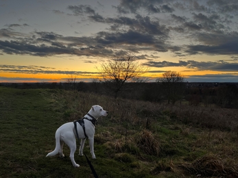 Peter on an evening walk across the common 