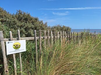 Butterfly trail board on fence on coastal path