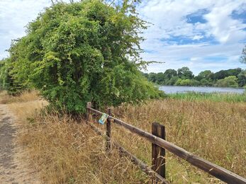 Eye Spy trail board on fence at Deeping Lakes