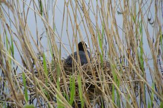 Barrow Haven