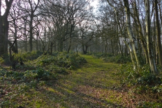 Moor Farm