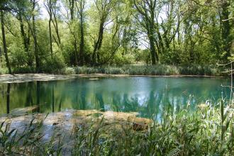 Tetney Blow Wells