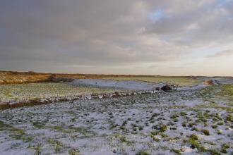 Anderby Marsh