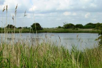 Chapel Pit