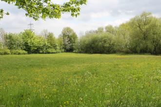 Sedge Hole Close