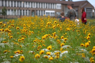 Lincolnshire Environmental Awards