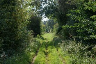 Willoughby Branch Line