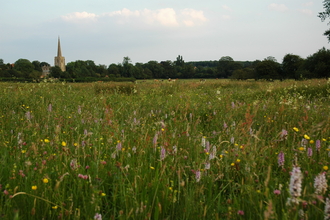 Moor Closes