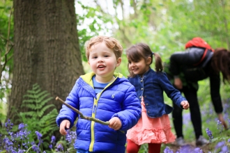 Children exploring woodland