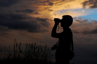 Birdwatcher