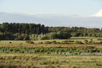 Woodhall Spa Airfield