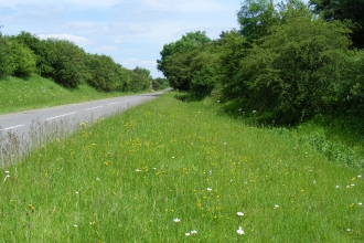South Witham Verges