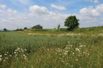 Farmland