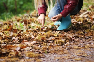Kids trail