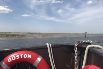 Boston Belle