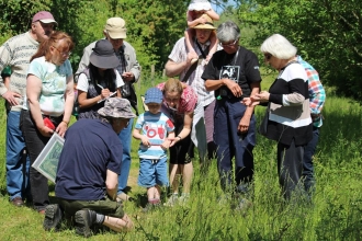 Guided walk