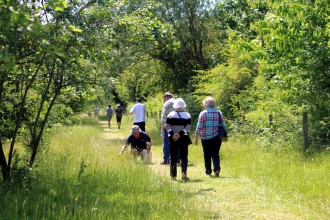 Bourne Area Group