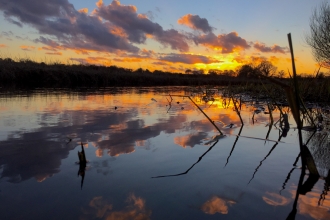 Norfolk