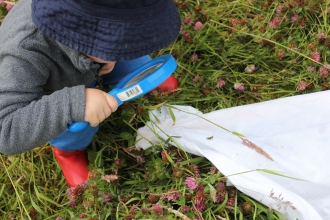 Nature Tots