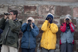 Bird watchers