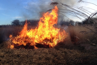 Land management