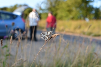 Wildlife walk