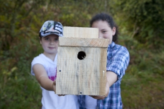Bird box making