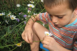 Boy in meadow
