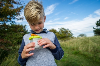 Bug Hunt