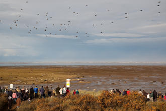 Donna Nook