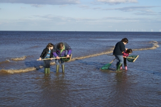 Sea dipping