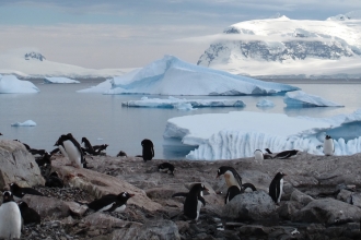 Antarctica