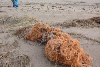 Beach Clean Gibraltar Point