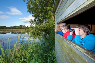 Family birdwatching