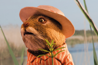 Wind in the Willows - The Wildlife Trust