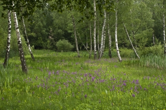 Whisby Nature Park