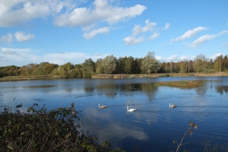 Whisby Nature Park